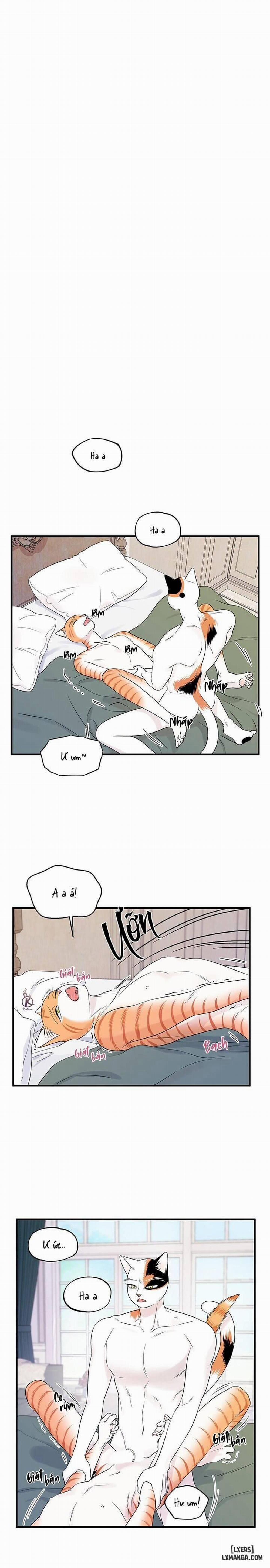 Dự án xanh 36 trang 0