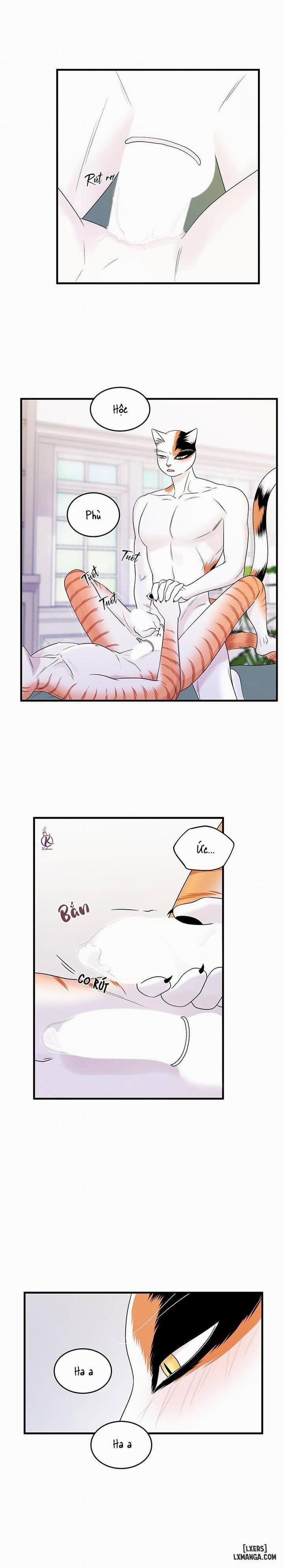 Dự án xanh 36 trang 1