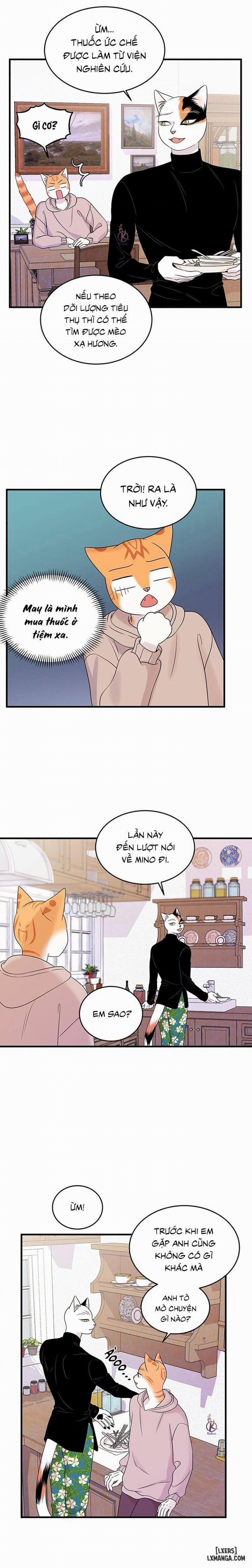 Dự án xanh 36 trang 10