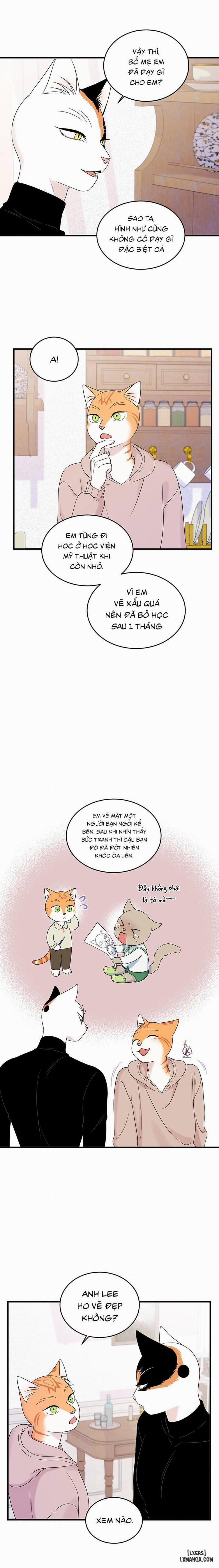 Dự án xanh 36 trang 11