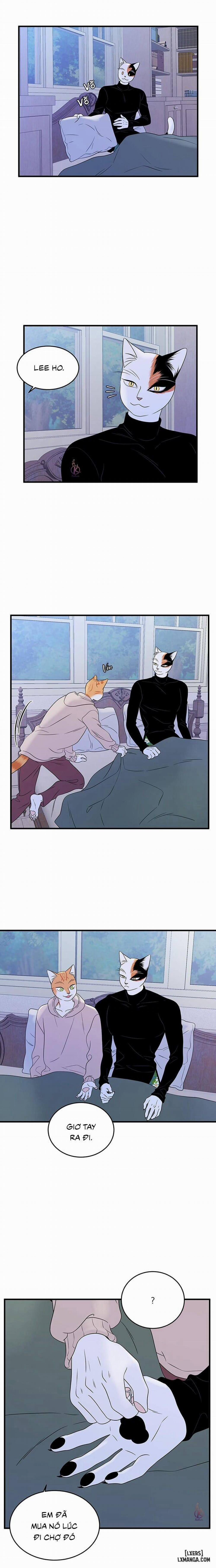 Dự án xanh 36 trang 15