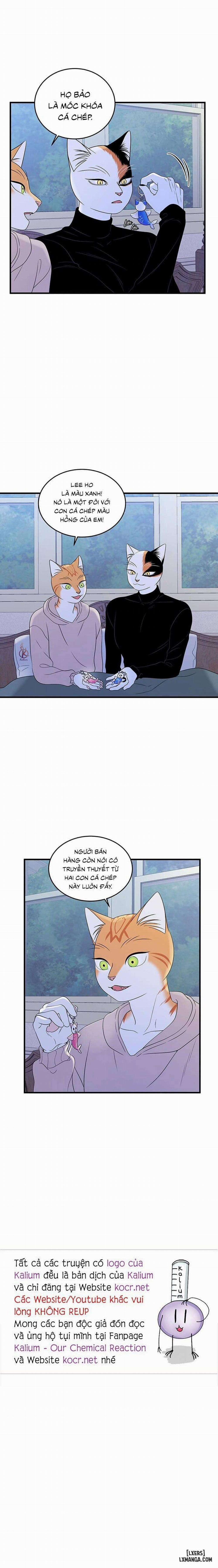 Dự án xanh 36 trang 16