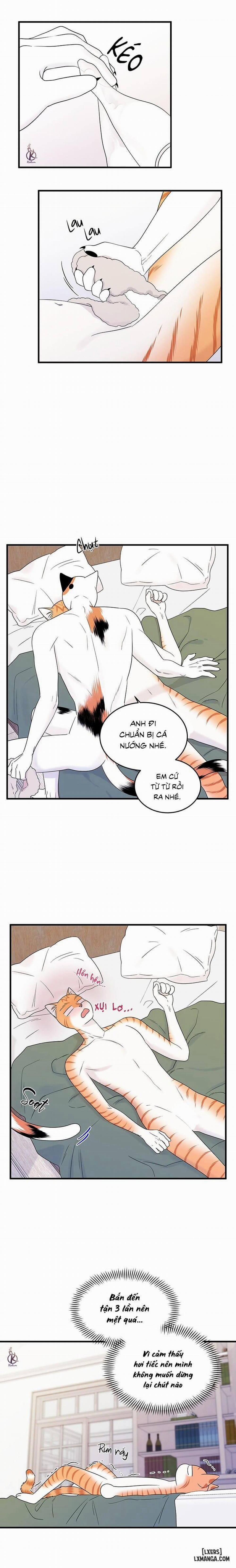 Dự án xanh 36 trang 2