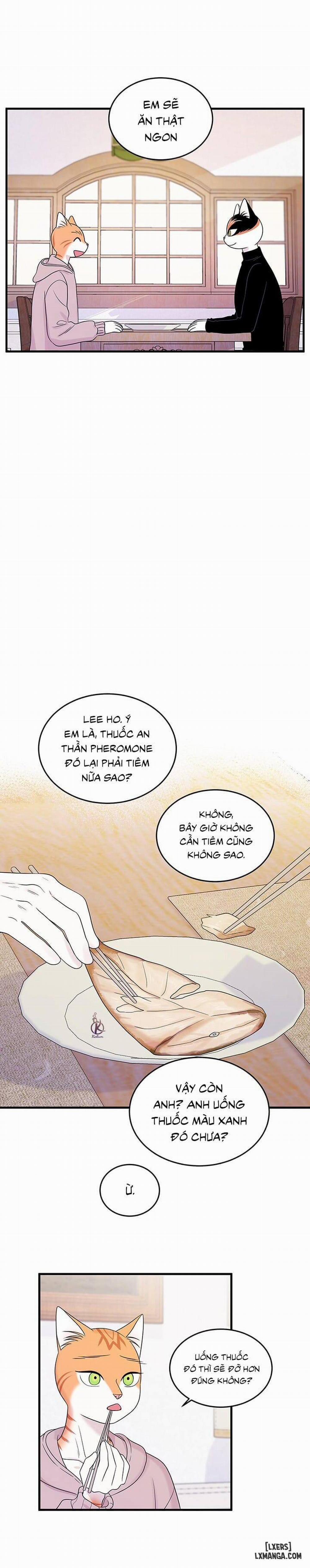 Dự án xanh 36 trang 5