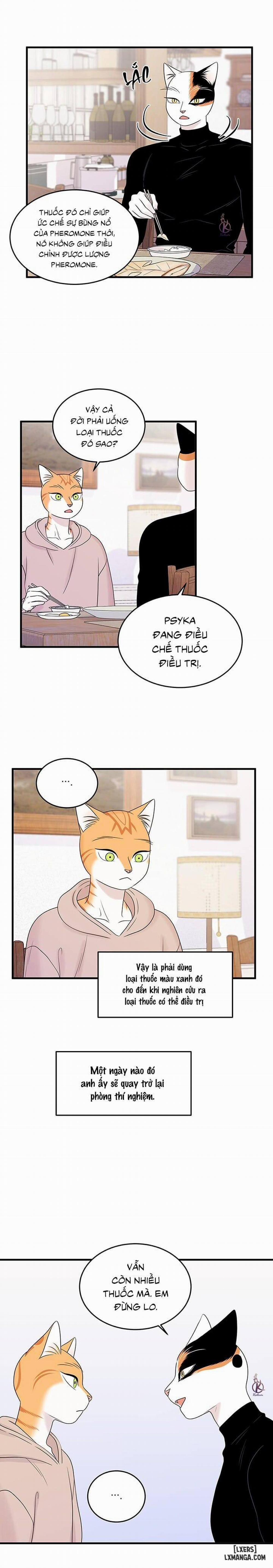 Dự án xanh 36 trang 6