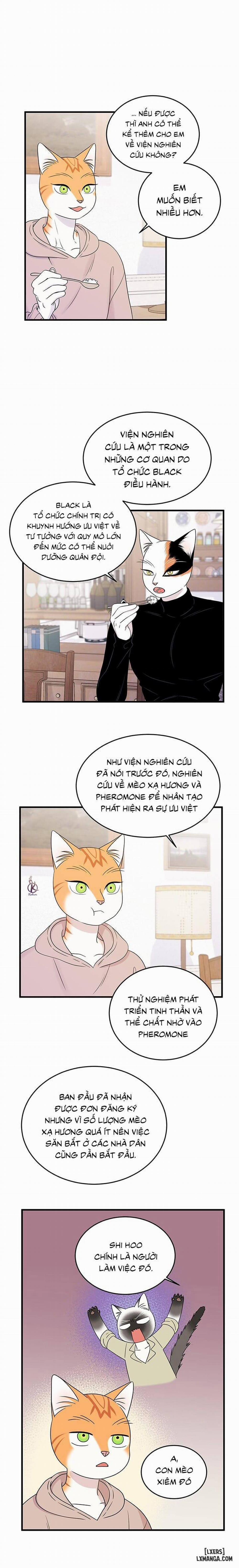 Dự án xanh 36 trang 7