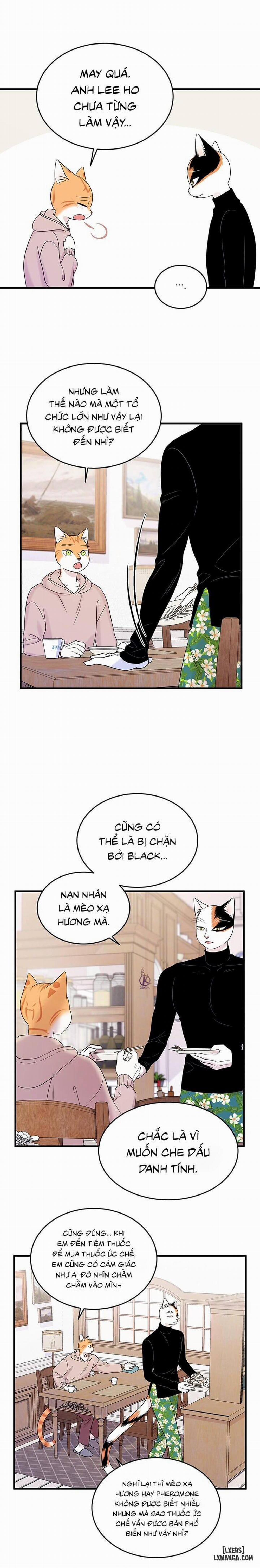 Dự án xanh 36 trang 9