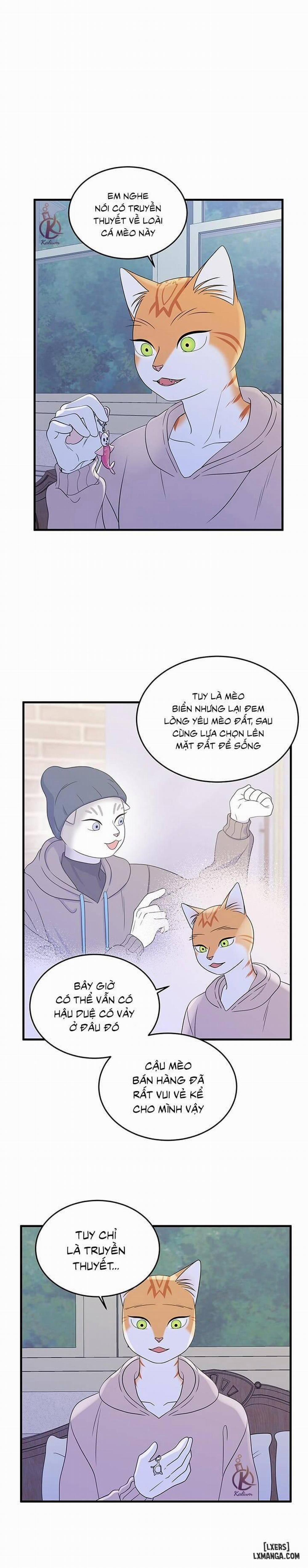 Dự án xanh 37 trang 0