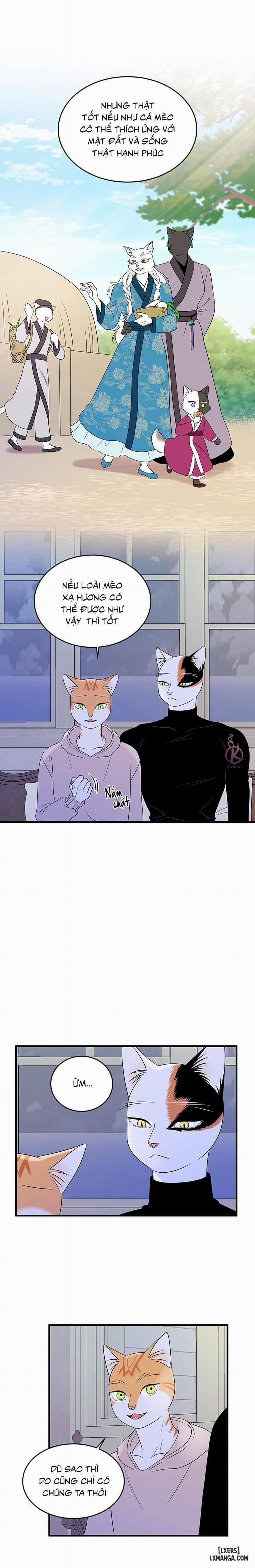 Dự án xanh 37 trang 1