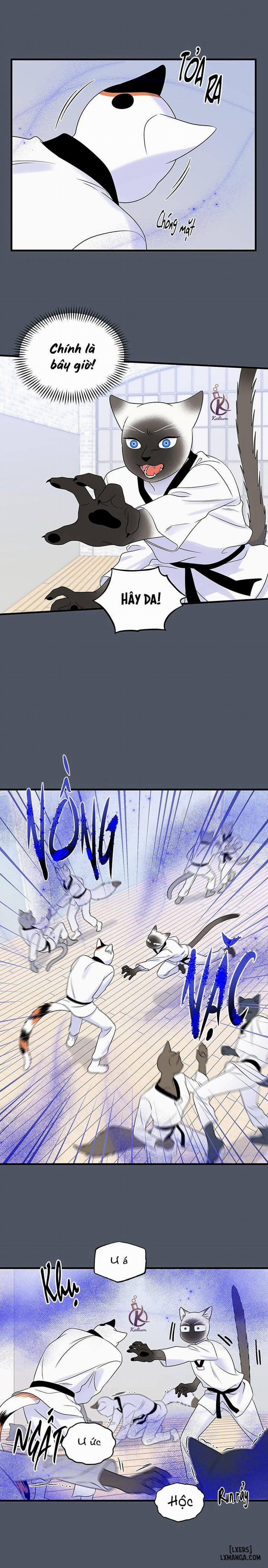 Dự án xanh 37 trang 10