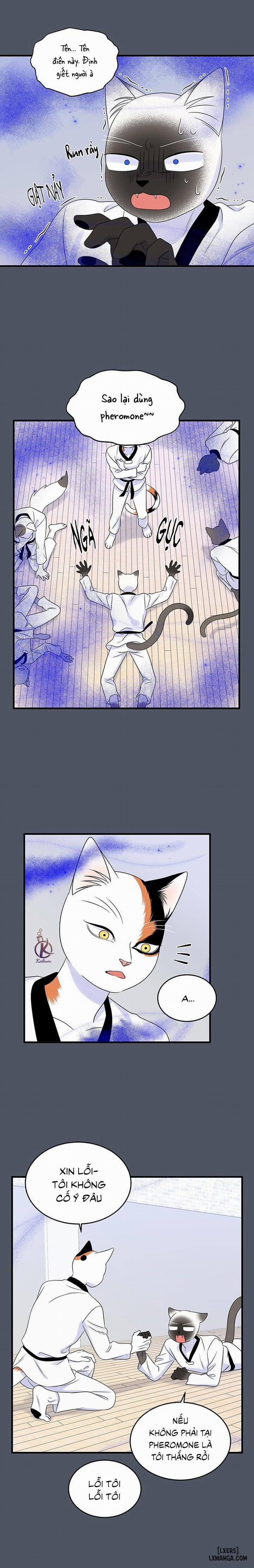 Dự án xanh 37 trang 11