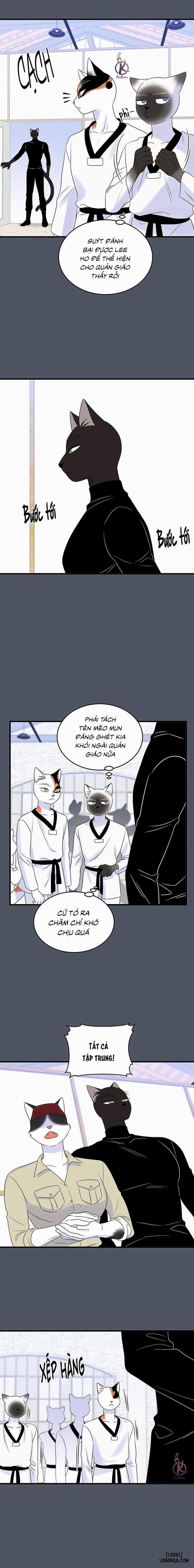 Dự án xanh 37 trang 12