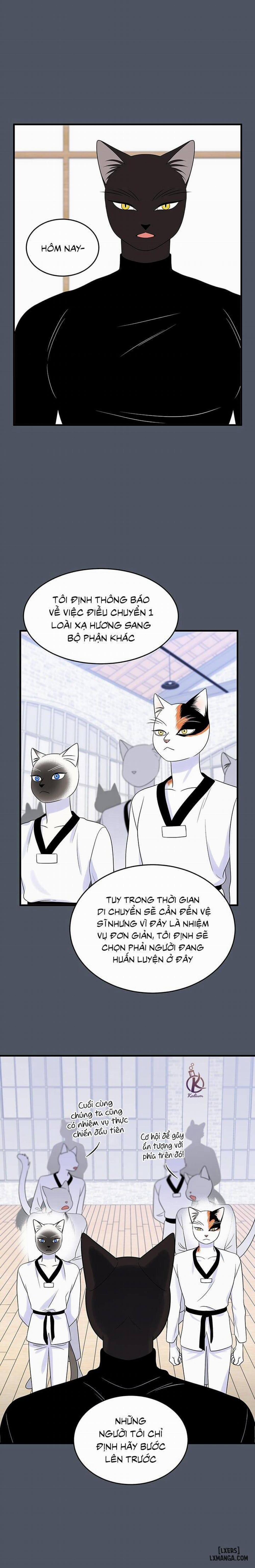 Dự án xanh 37 trang 13