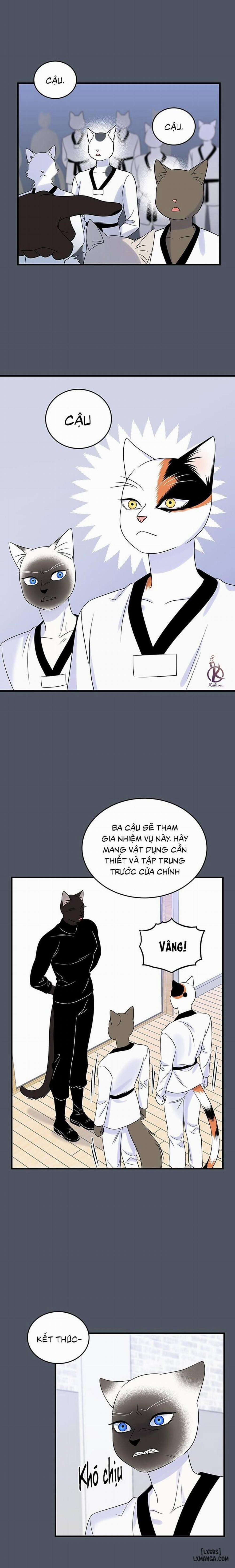 Dự án xanh 37 trang 14