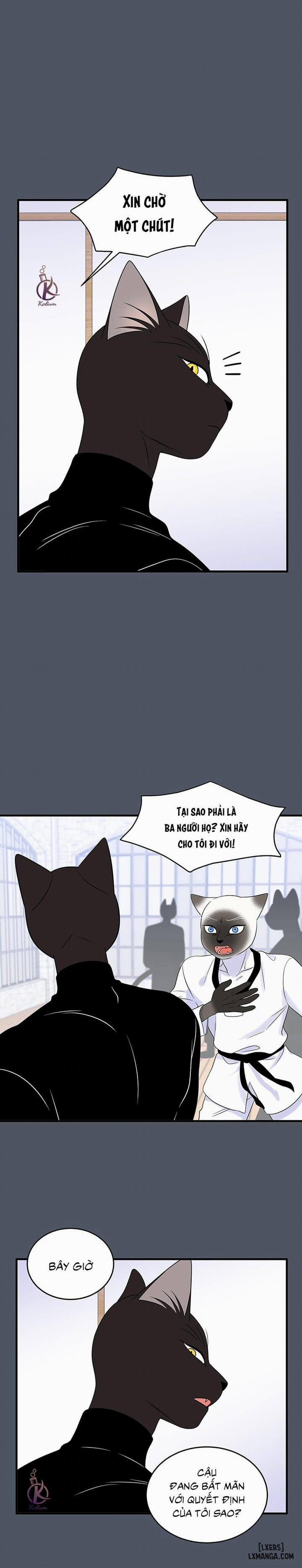 Dự án xanh 37 trang 15