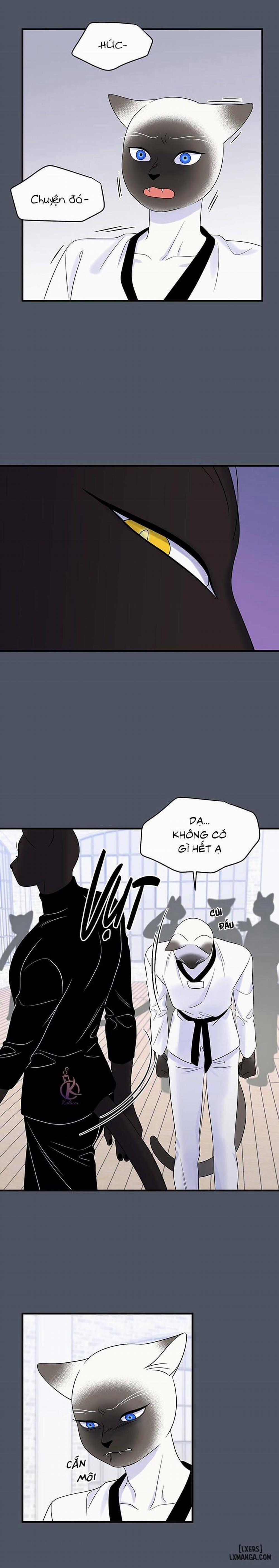 Dự án xanh 37 trang 16