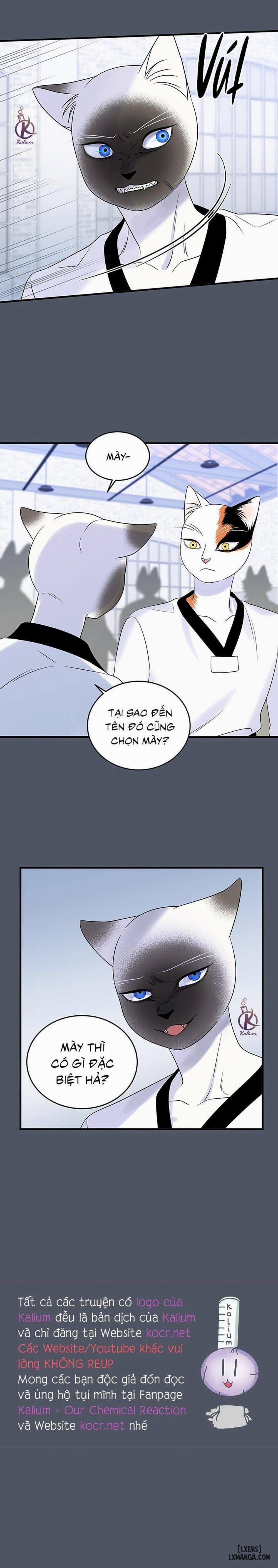 Dự án xanh 37 trang 17