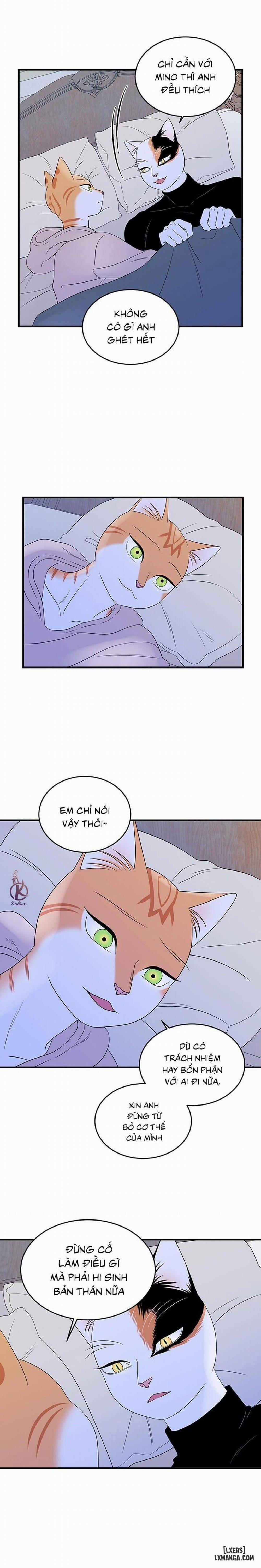 Dự án xanh 37 trang 3