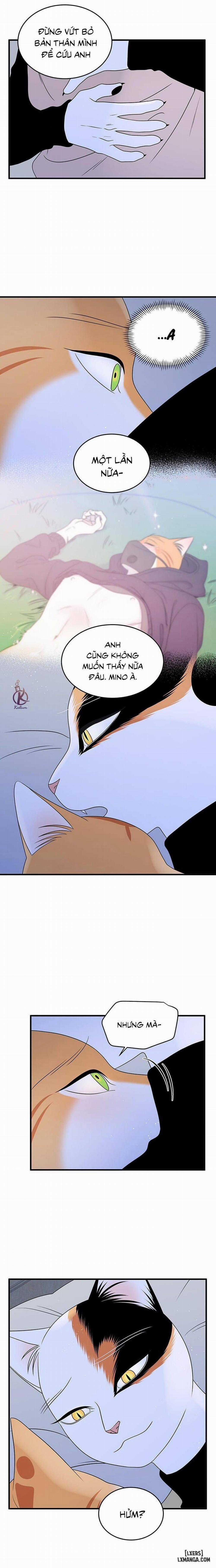 Dự án xanh 37 trang 5