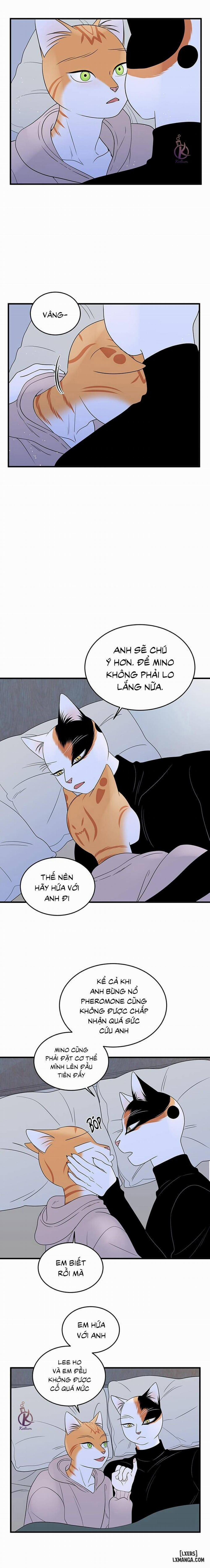 Dự án xanh 37 trang 6