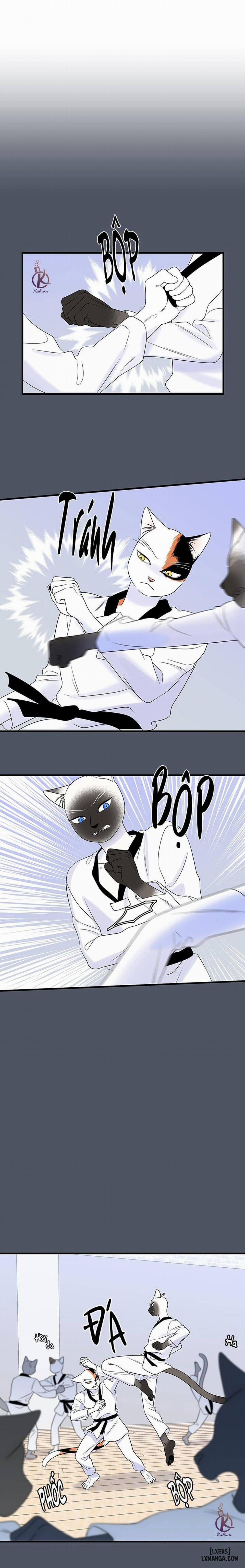 Dự án xanh 37 trang 8