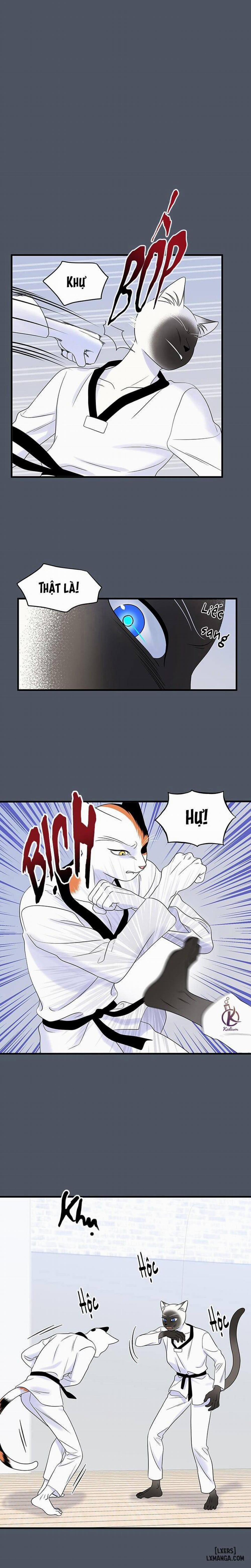 Dự án xanh 37 trang 9