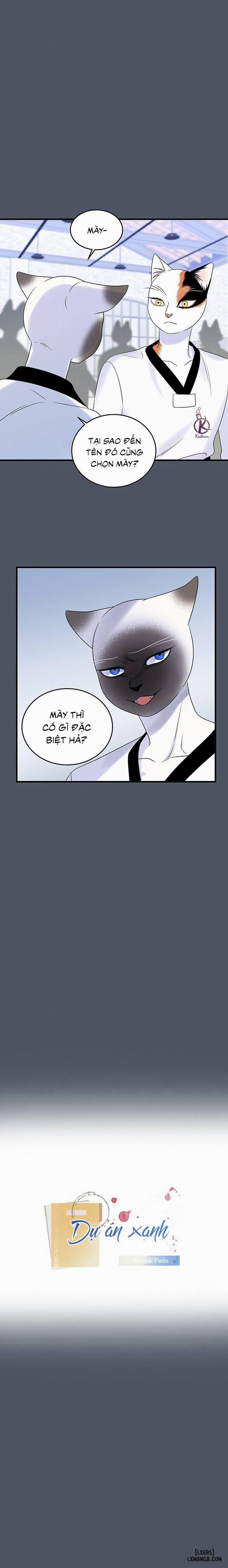 Dự án xanh 38 trang 0