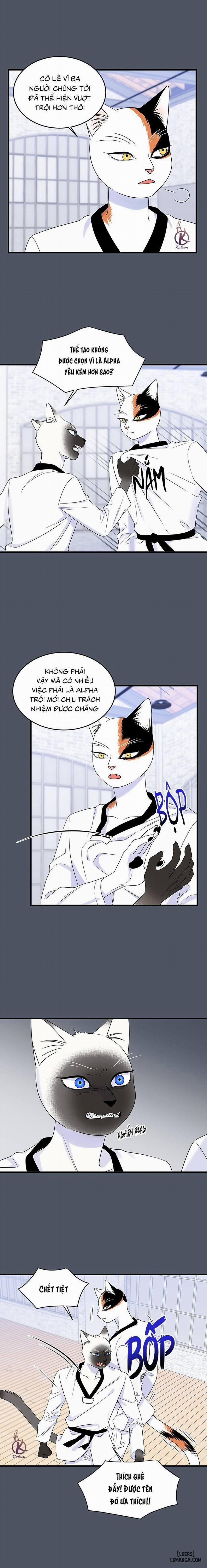 Dự án xanh 38 trang 1