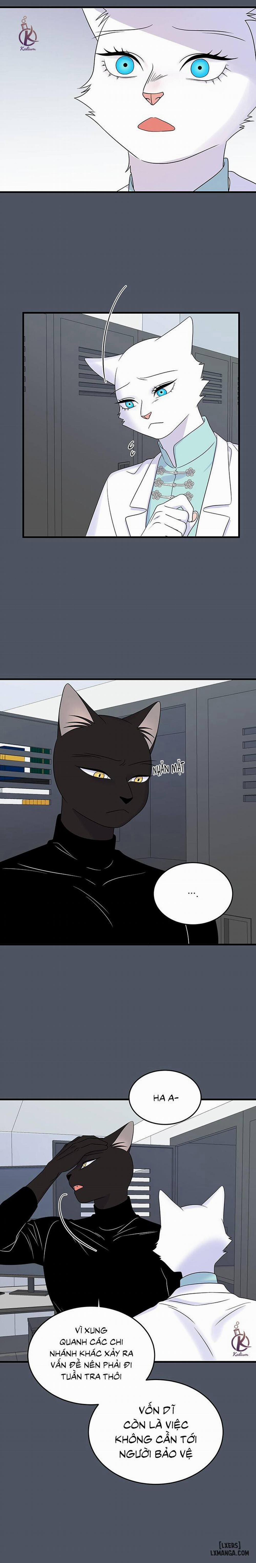 Dự án xanh 38 trang 13