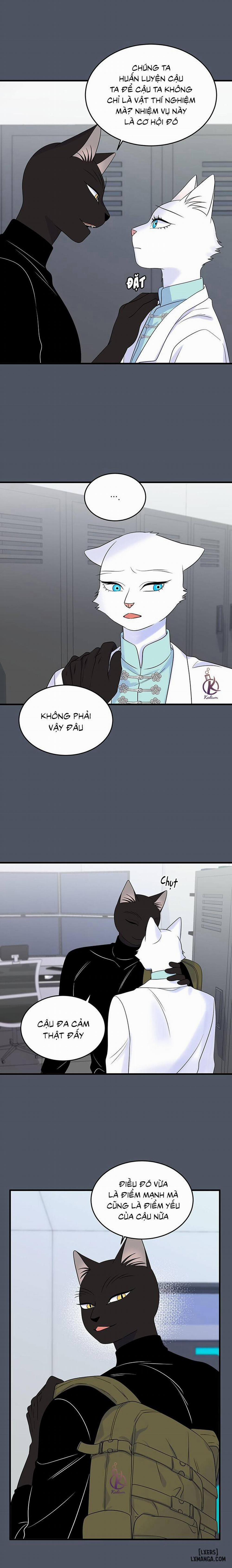 Dự án xanh 38 trang 16