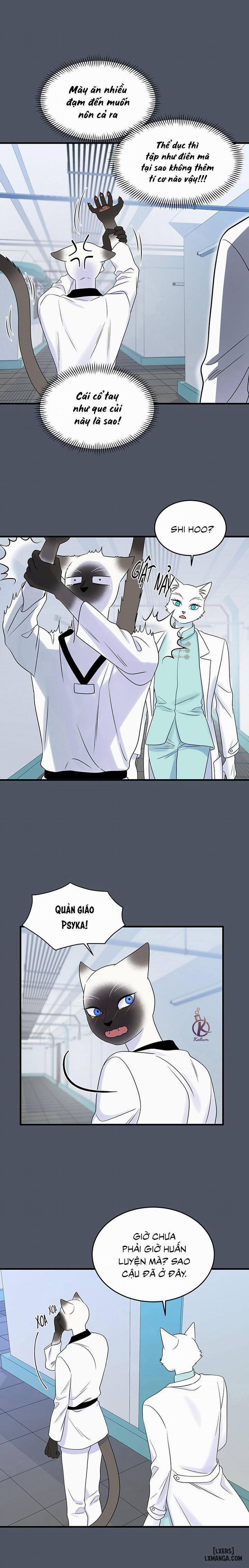 Dự án xanh 38 trang 4