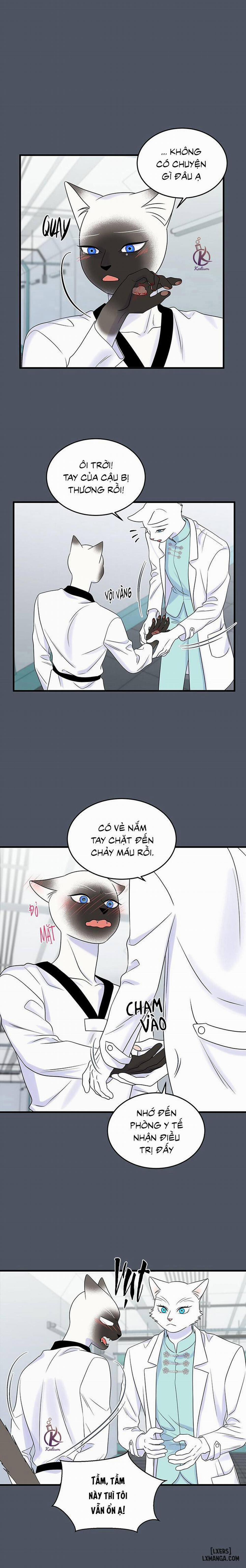 Dự án xanh 38 trang 5