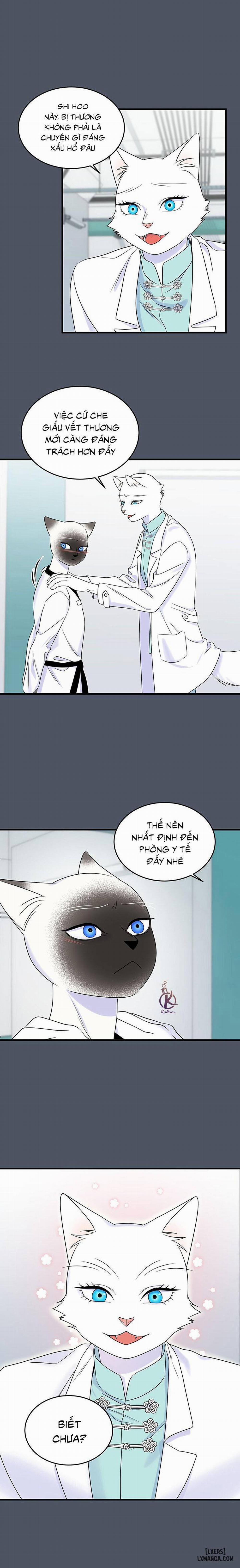 Dự án xanh 38 trang 6