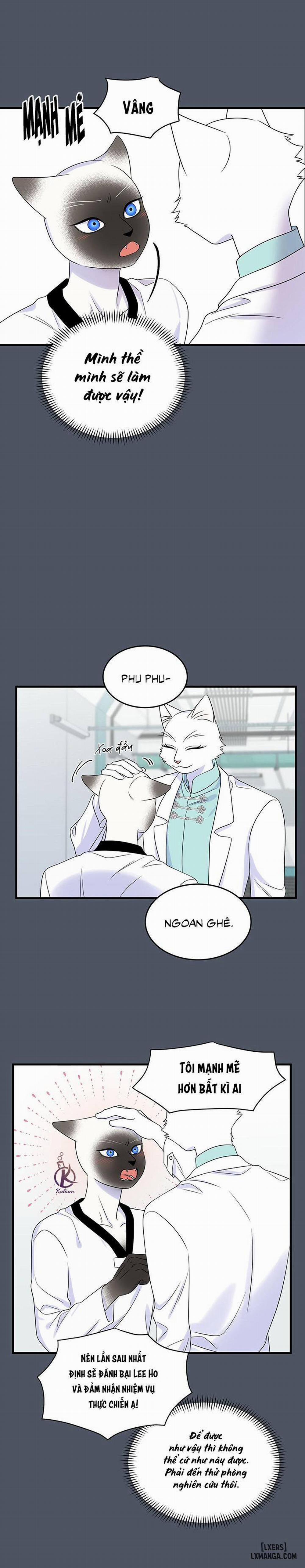 Dự án xanh 38 trang 8