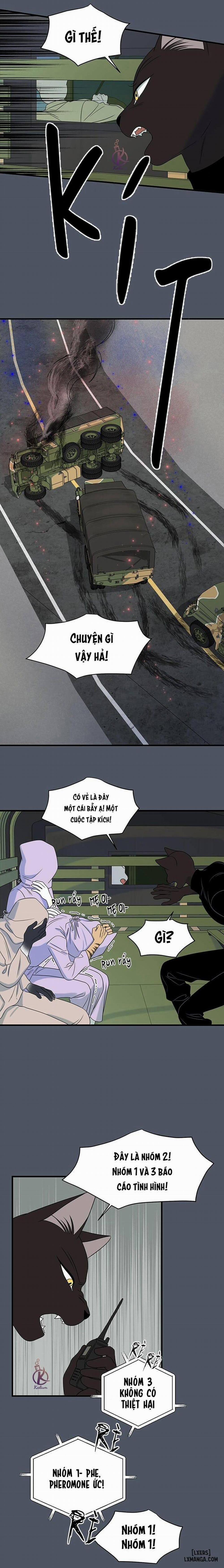 Dự án xanh 39 trang 12