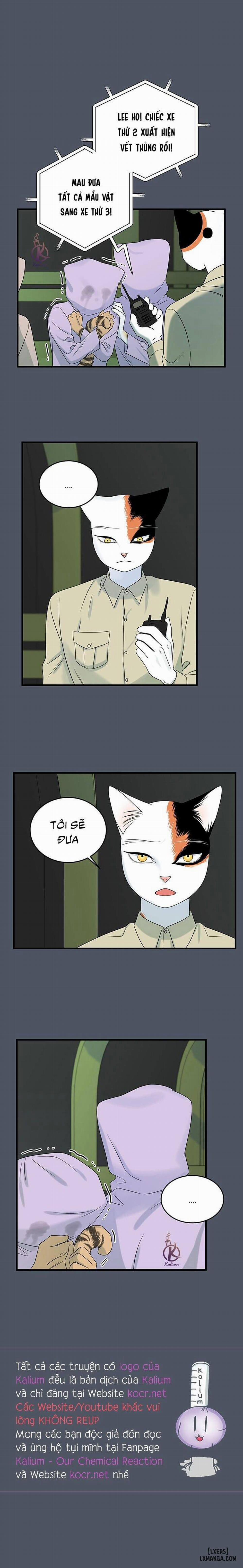 Dự án xanh 39 trang 16