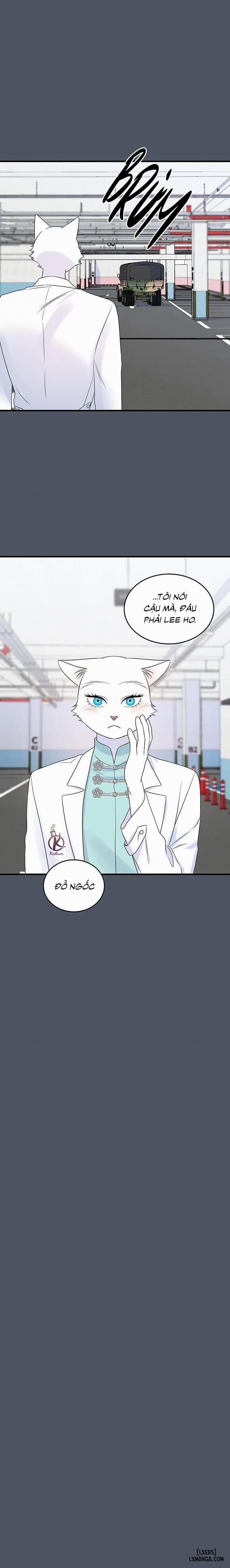 Dự án xanh 39 trang 3