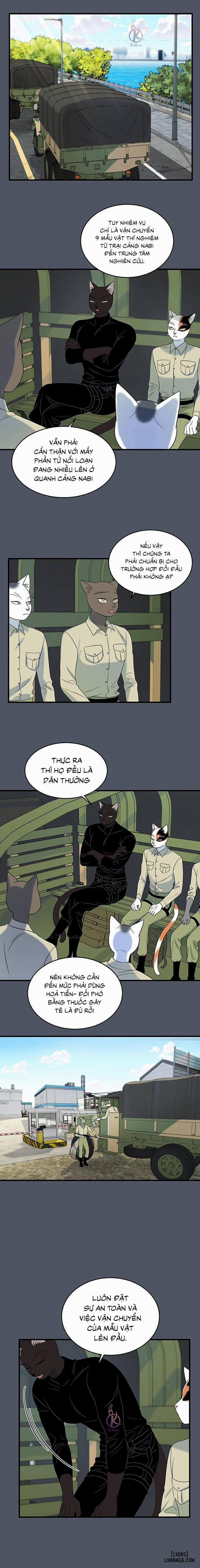 Dự án xanh 39 trang 5