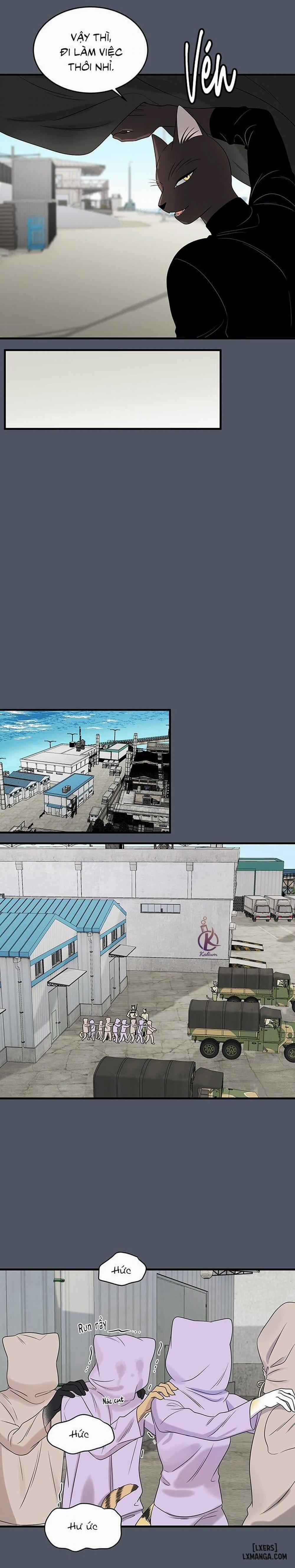 Dự án xanh 39 trang 6