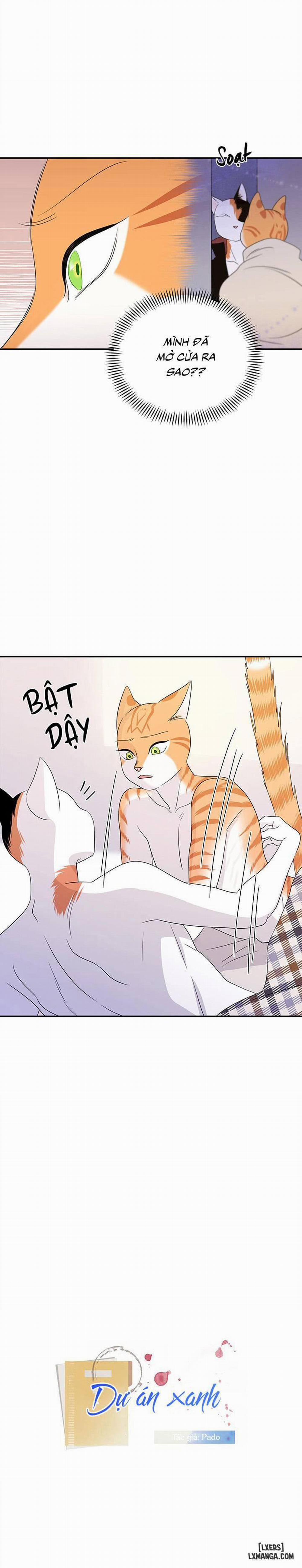 Dự án xanh 4 trang 0