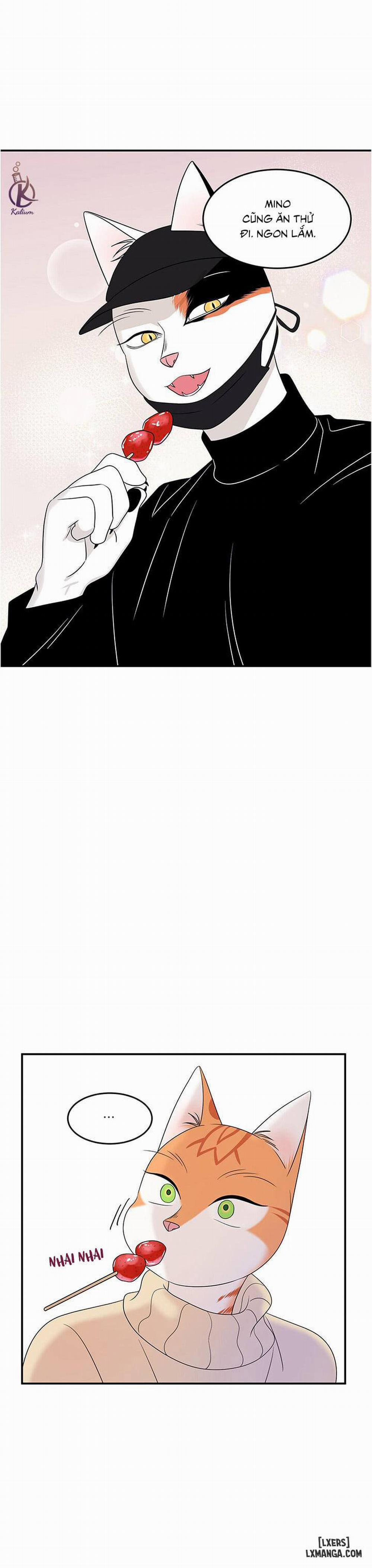 Dự án xanh 4 trang 16