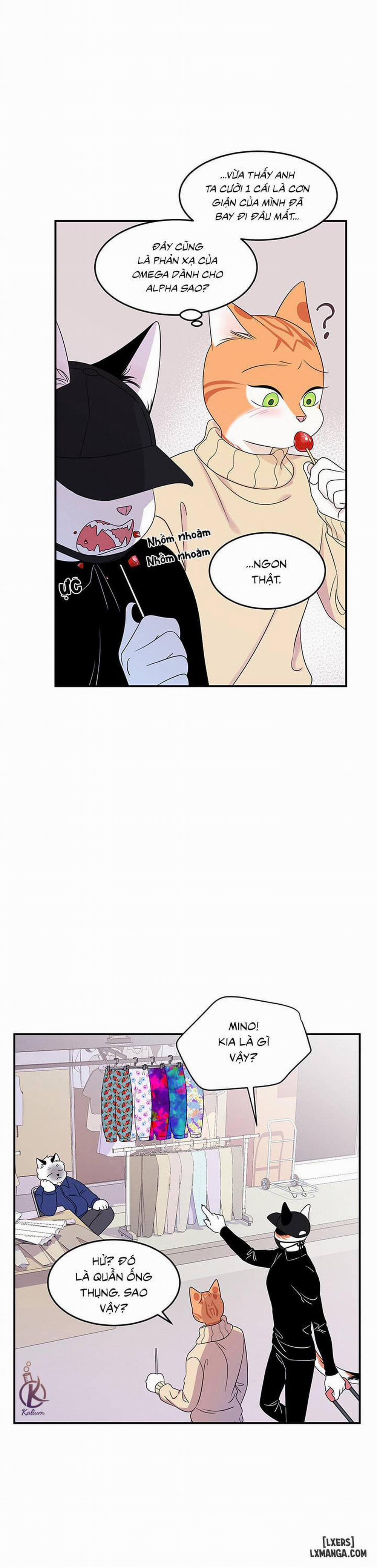 Dự án xanh 4 trang 17