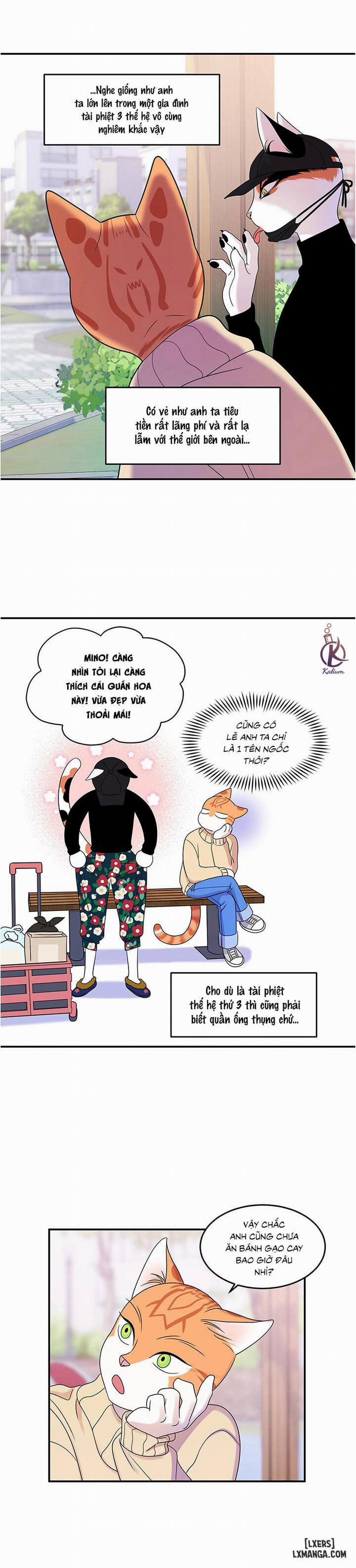 Dự án xanh 4 trang 23