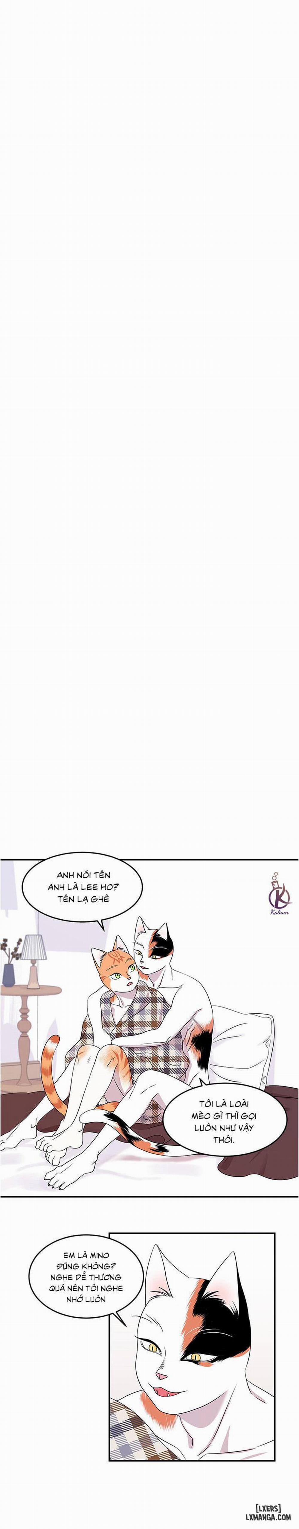 Dự án xanh 4 trang 4