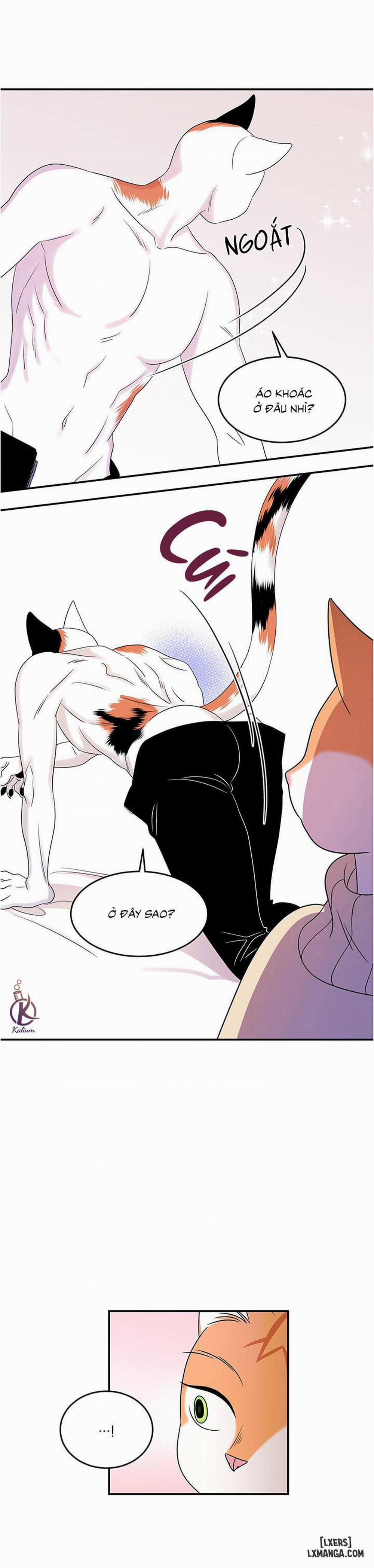 Dự án xanh 4 trang 8