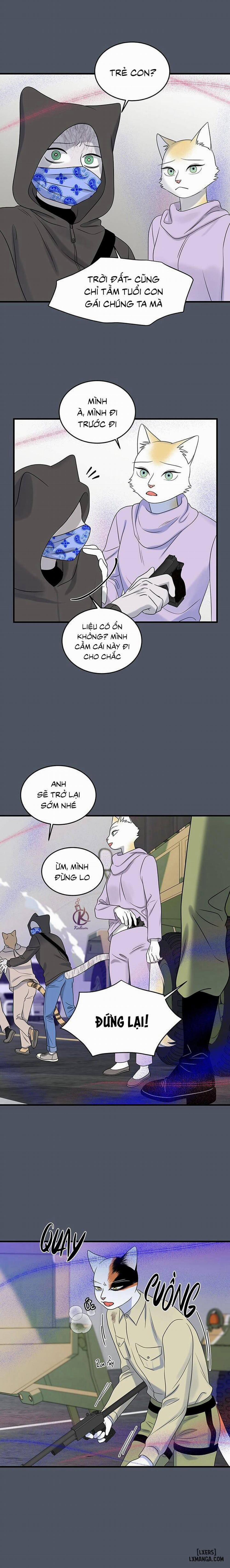 Dự án xanh 40 trang 11