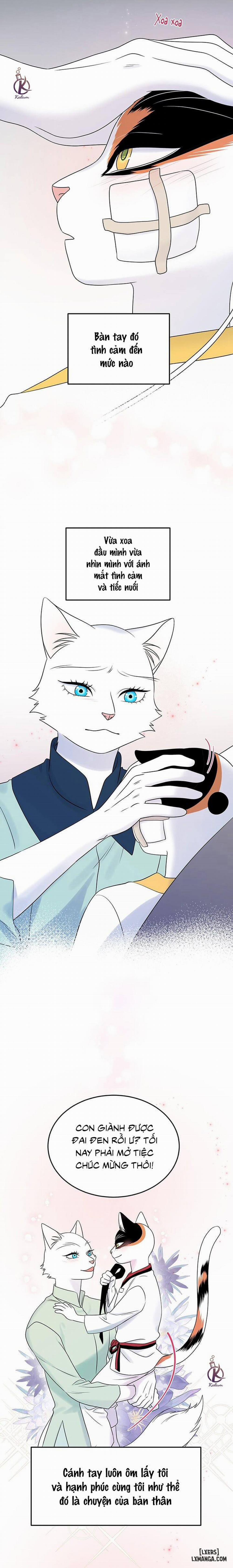 Dự án xanh 40 trang 16