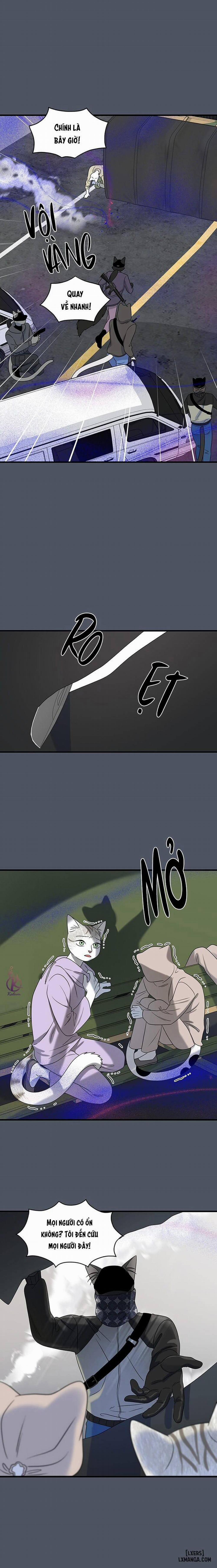 Dự án xanh 40 trang 3