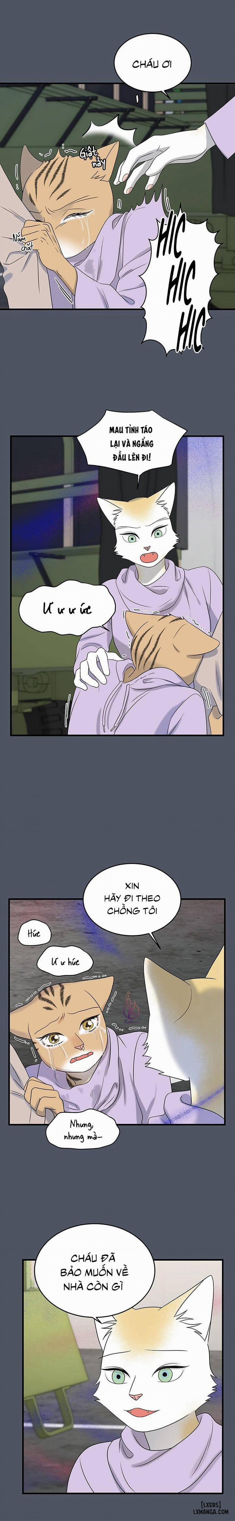 Dự án xanh 40 trang 9