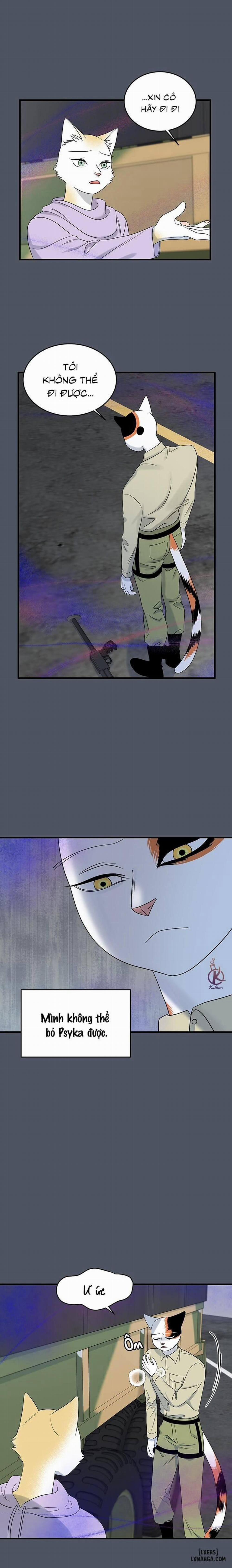 Dự án xanh 41 trang 1